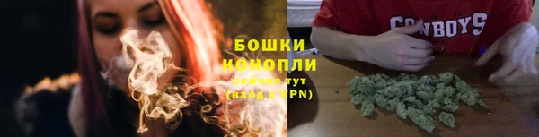 мдпв Богородицк