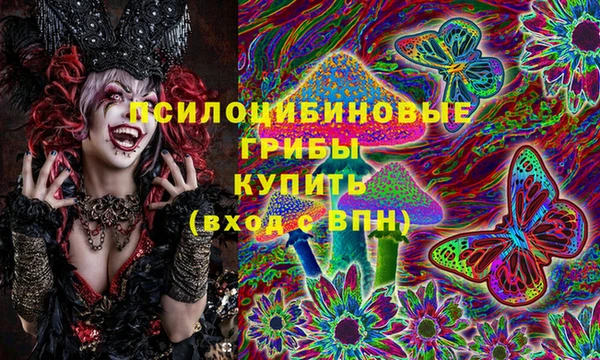 герыч Богородск