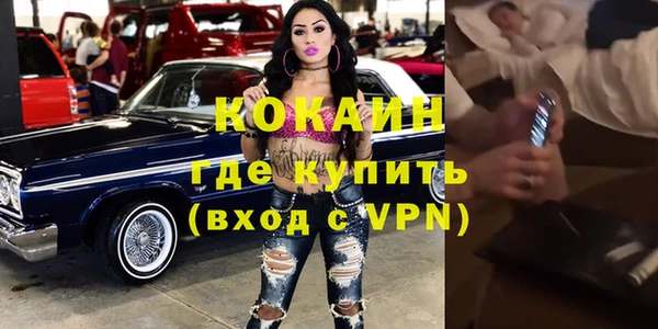 мдпв Богородицк