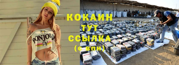 мдпв Богородицк